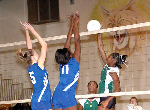 Durham Arts does in Ladycats in four games