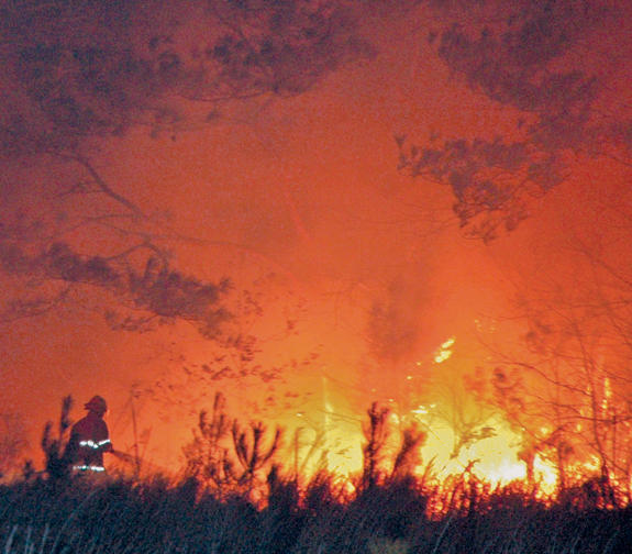 1,563 acres burned in Franklin